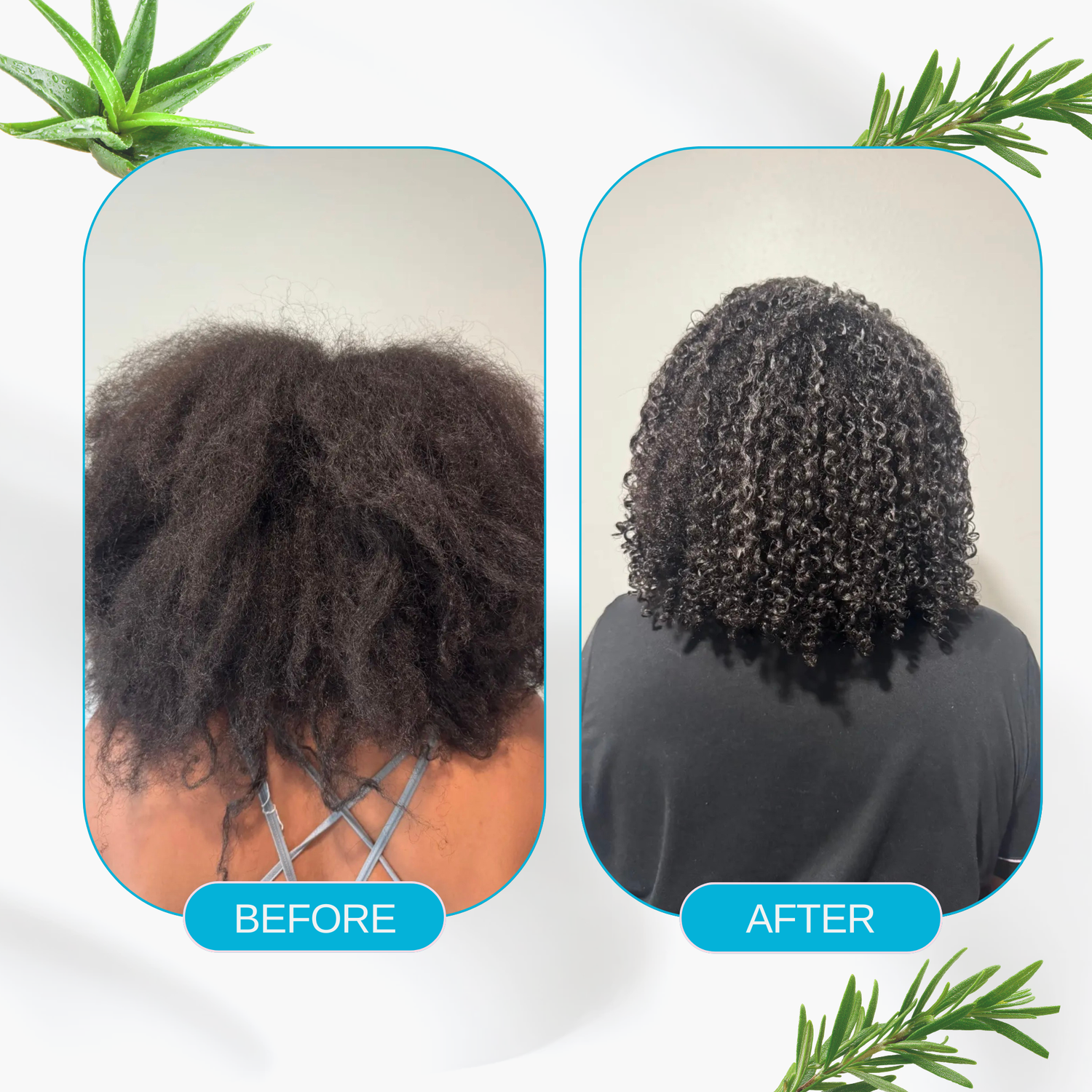 Before and after comparison of hair treatment with a person's head shown from behind. Ethnic Gals 