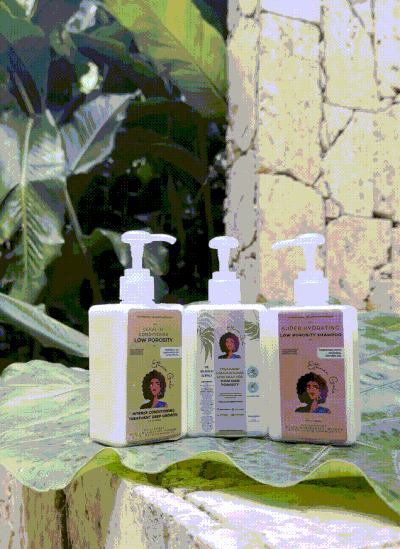 Full Wash Day Bundle (Low Porosity Shampoo, Hair Mask, Leave-In Conditioner & Hair Oil) - Perfect for Subscriptions