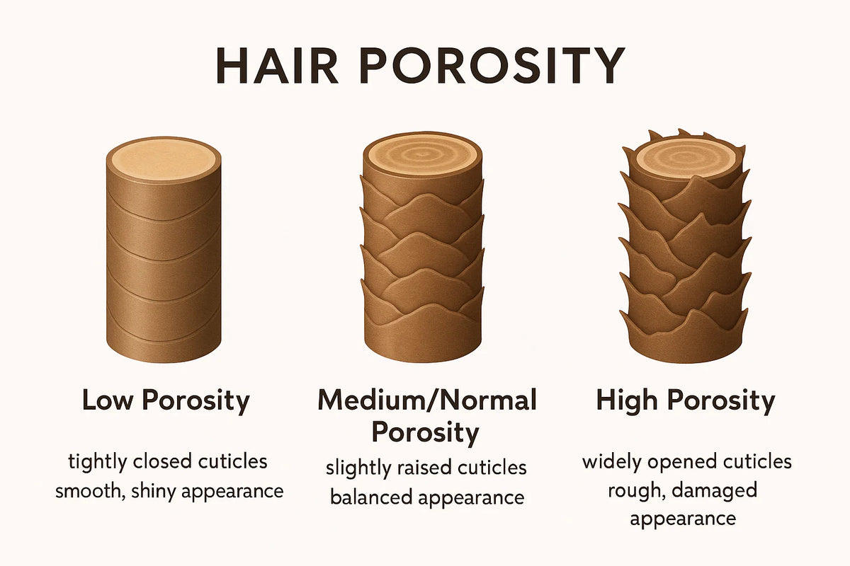 Reason 1: YOUR HAIR POROSITY DECIDES IF MOISTURE GETS IN