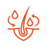 Maintains Daily Moisture Balance