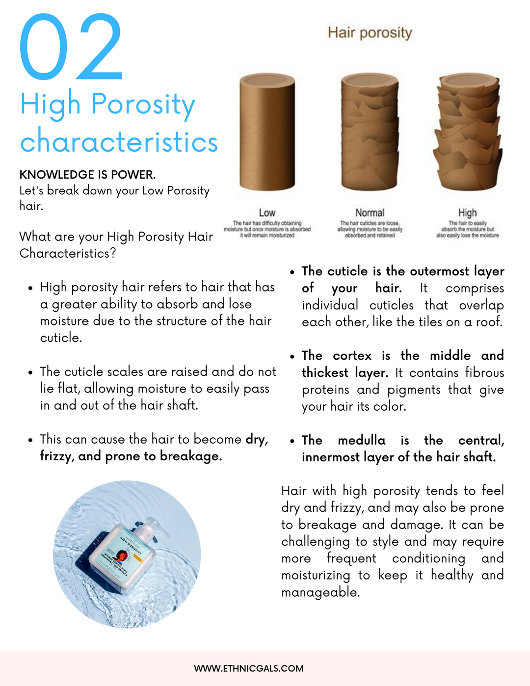 Grow your High Porosity Hair (Ebook for Deep Growth)