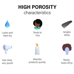 High - Porosity Hair Products Beauty Box Kit - Ethnic Gals